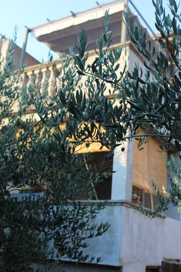 Apartments & Rooms Tea Zadar Dış mekan fotoğraf